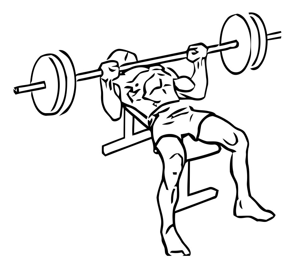 Barbell Bench Press exercise demonstration, targeting the chest