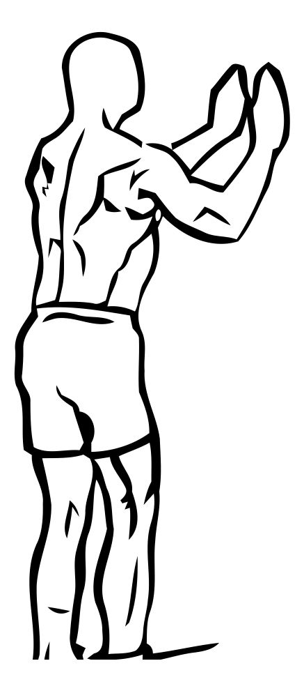 Cable Kickback exercise demonstration, targeting the glutes