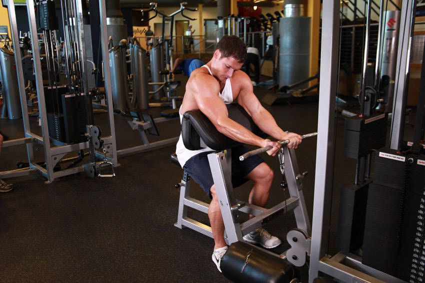 Cable Curl exercise demonstration, targeting the biceps