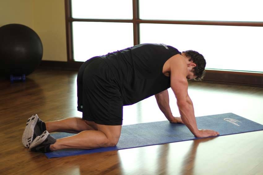 Cat-Cow Stretch exercise demonstration — targets the back