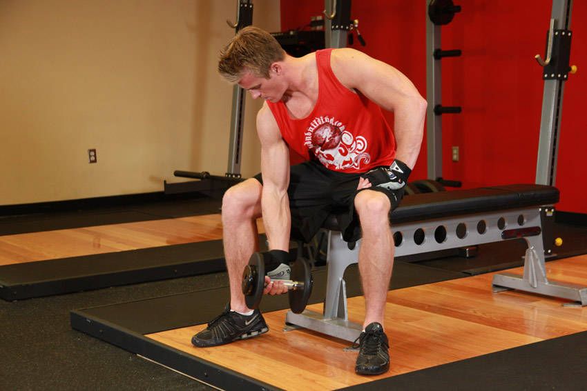 Concentration Curl exercise demonstration, targeting the biceps