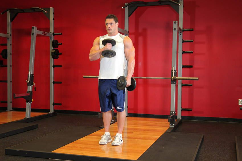Cross-Body Hammer Curl exercise demonstration, targeting the biceps