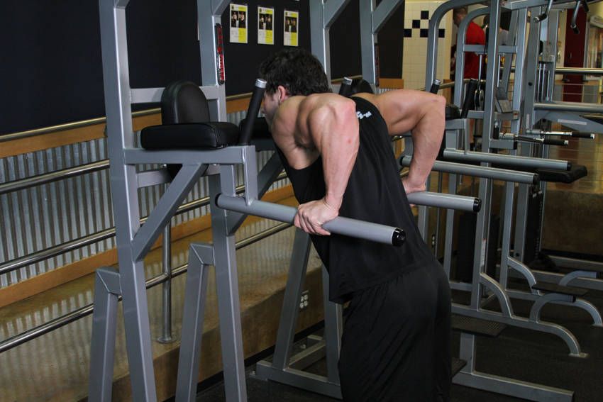 Tricep Dip exercise demonstration — targets the triceps