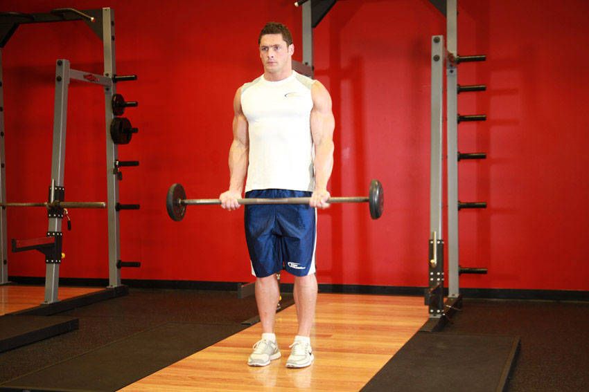 Barbell Curl exercise demonstration, targeting the biceps