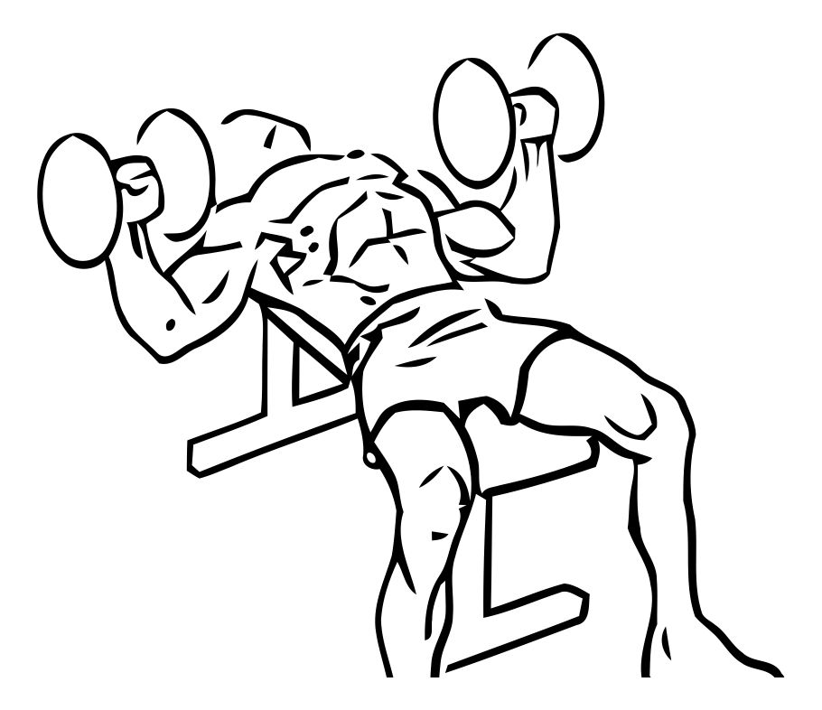 Dumbbell Bench Press exercise demonstration, targeting the chest