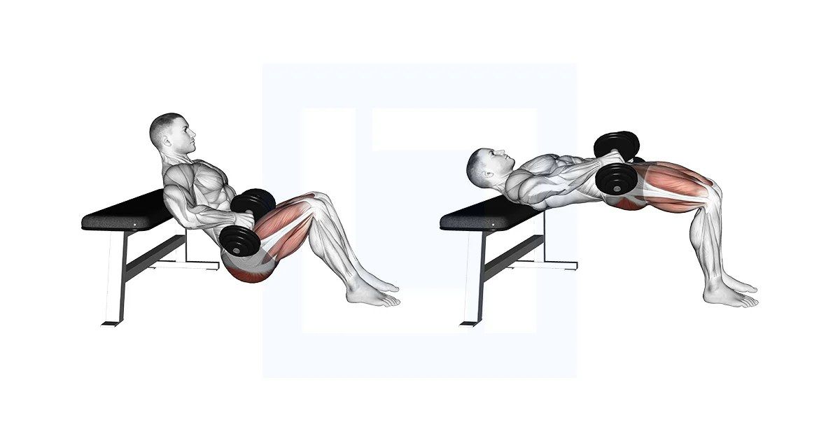 Dumbbell Hip Thrust exercise demonstration, targeting the glutes