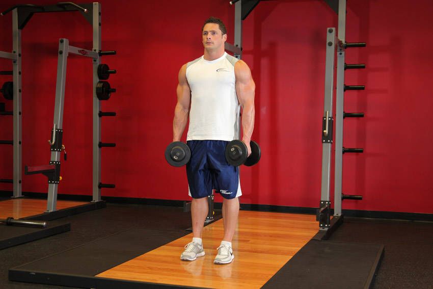 Dumbbell Shrug exercise demonstration — targets the traps