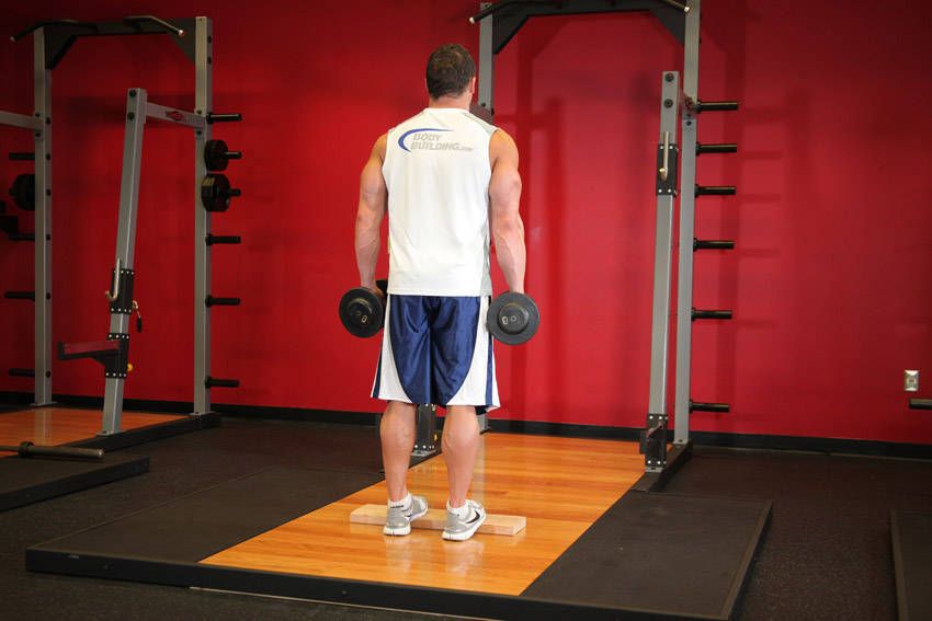 Standing Dumbbell Calf Raise exercise demonstration, targeting the calves
