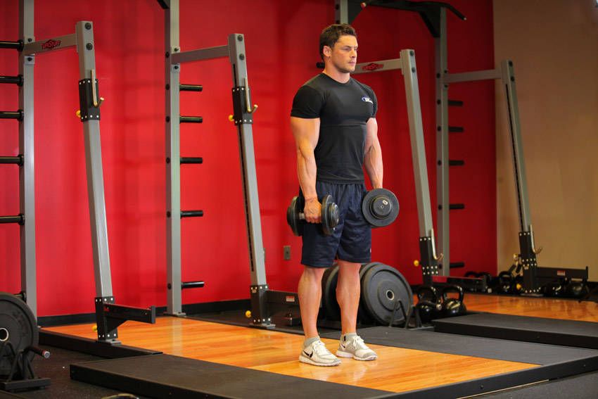 Dumbbell Stiff-Leg Deadlift exercise demonstration, targeting the hamstrings