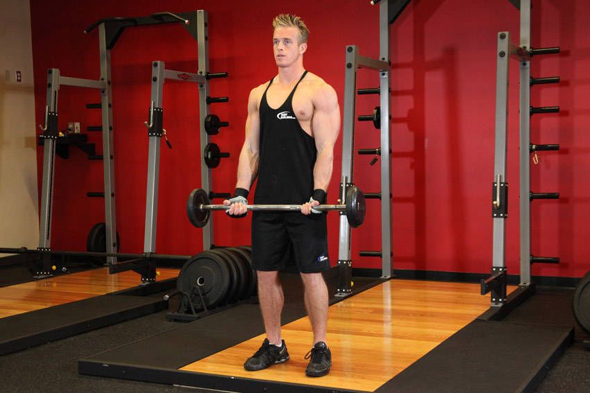 EZ-Bar Curl exercise demonstration, targeting the biceps