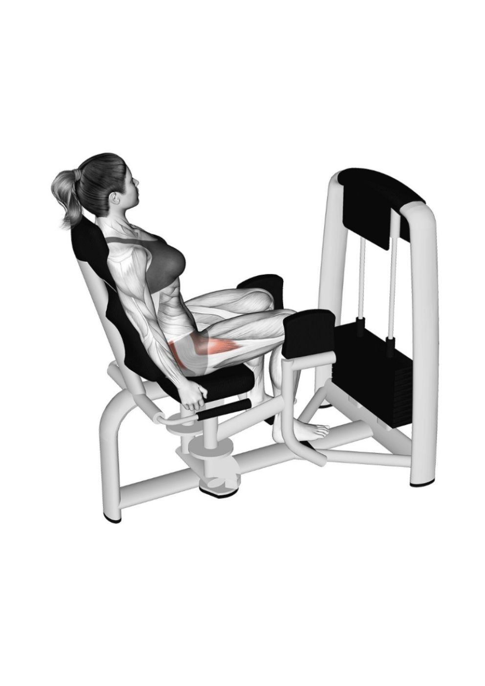 Hip Abduction Machine exercise demonstration, targeting the glutes