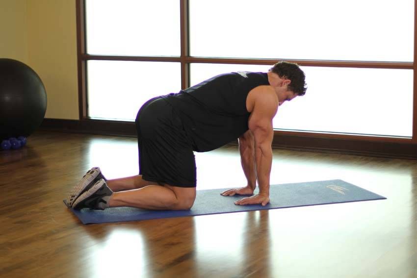 Kneeling Wrist & Forearm Stretch exercise demonstration — targets the forearms