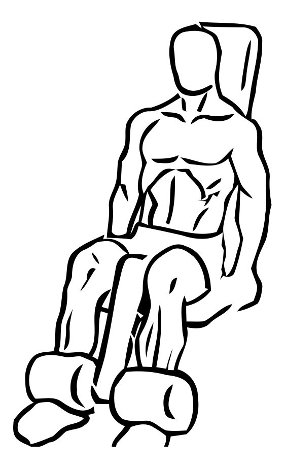 Leg Extension exercise demonstration, targeting the quads