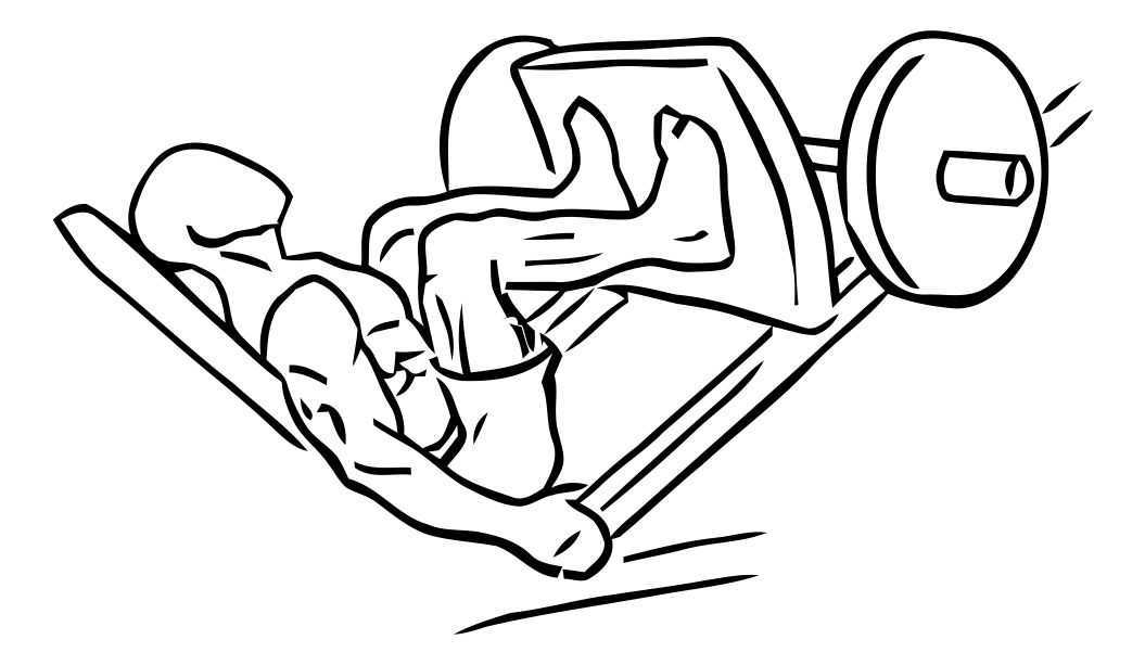 Leg Press exercise demonstration, targeting the quads