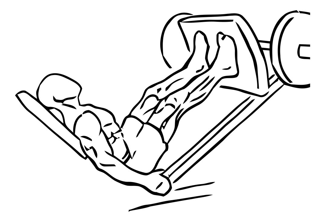 Leg Press Calf Raise exercise demonstration, targeting the calves