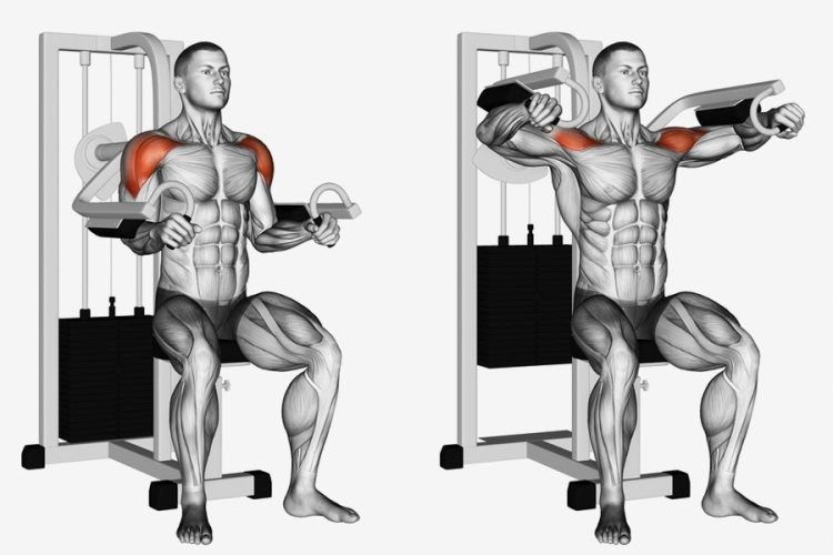 Machine Lateral Raise exercise demonstration, targeting the shoulders
