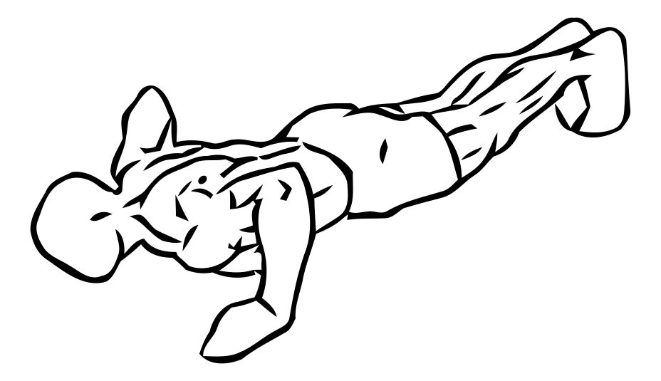 Push-Up exercise demonstration, targeting the chest