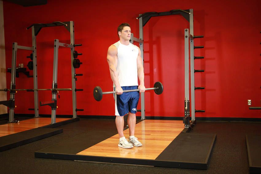 Reverse Curl exercise demonstration, targeting the biceps