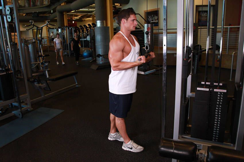 Reverse-Grip Tricep Pushdown exercise demonstration, targeting the triceps