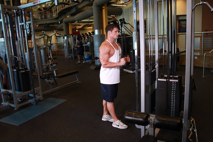 Rope Tricep Pushdown exercise demonstration, targeting the triceps