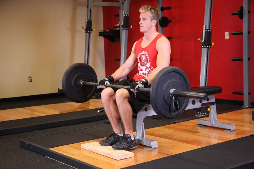 Seated Barbell Calf Raise exercise demonstration, targeting the calves
