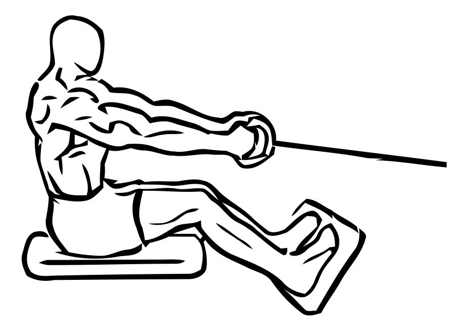 Seated Cable Row exercise demonstration, targeting the back