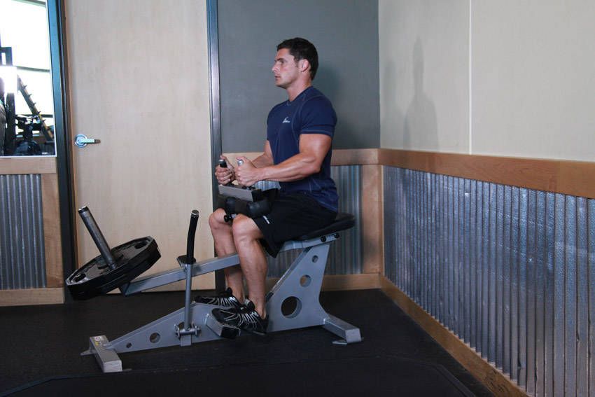 Seated Calf Raise exercise demonstration — targets the calves