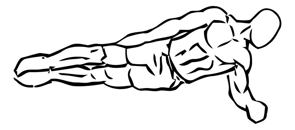 Side Plank exercise demonstration, targeting the obliques