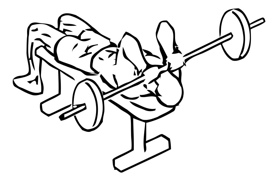Skull Crusher exercise demonstration, targeting the triceps