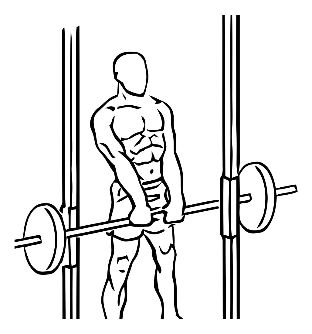 Smith Machine Shrug exercise demonstration, targeting the traps