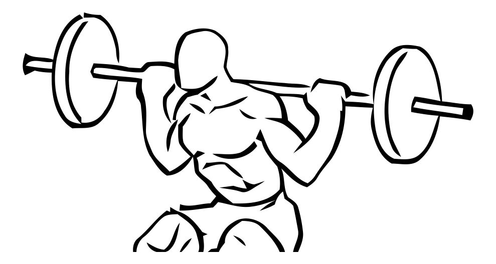 Barbell Back Squat exercise demonstration, targeting the quads