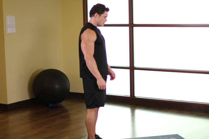 Standing Toe-Touch Stretch exercise demonstration — targets the hamstrings