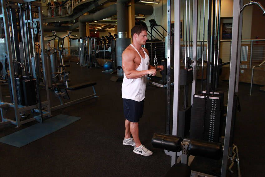 Tricep Pushdown exercise demonstration — targets the triceps