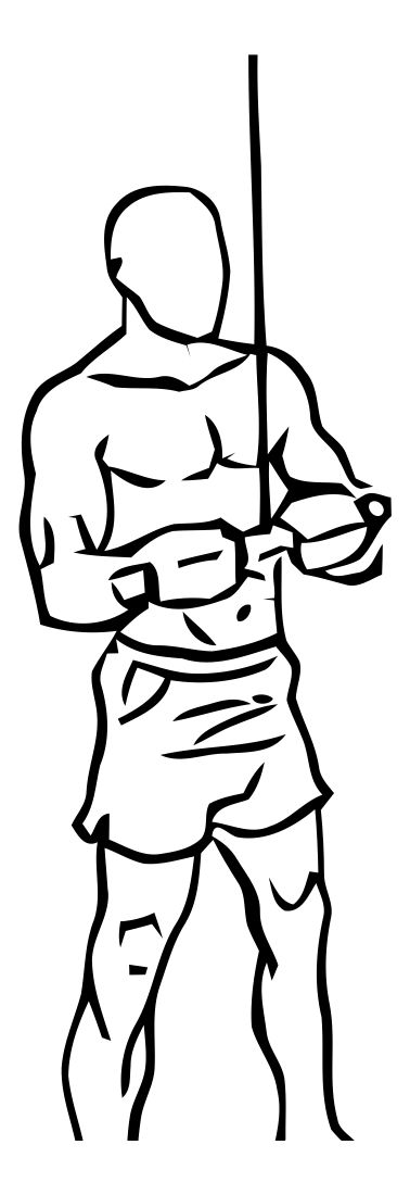 Tricep Pushdown exercise demonstration, targeting the triceps