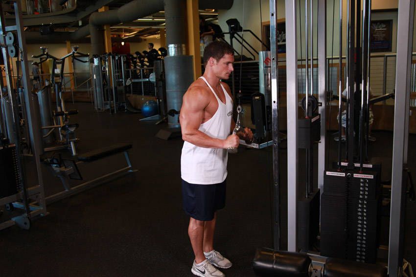 V-Bar Tricep Pushdown exercise demonstration, targeting the triceps