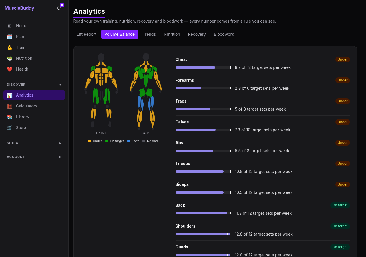 MuscleBuddy's Pro analytics: a colour-coded front and back muscle map grading weekly training volume per muscle against target, alongside per-muscle set counts with under and on-target badges for chest, back, shoulders, arms and legs.